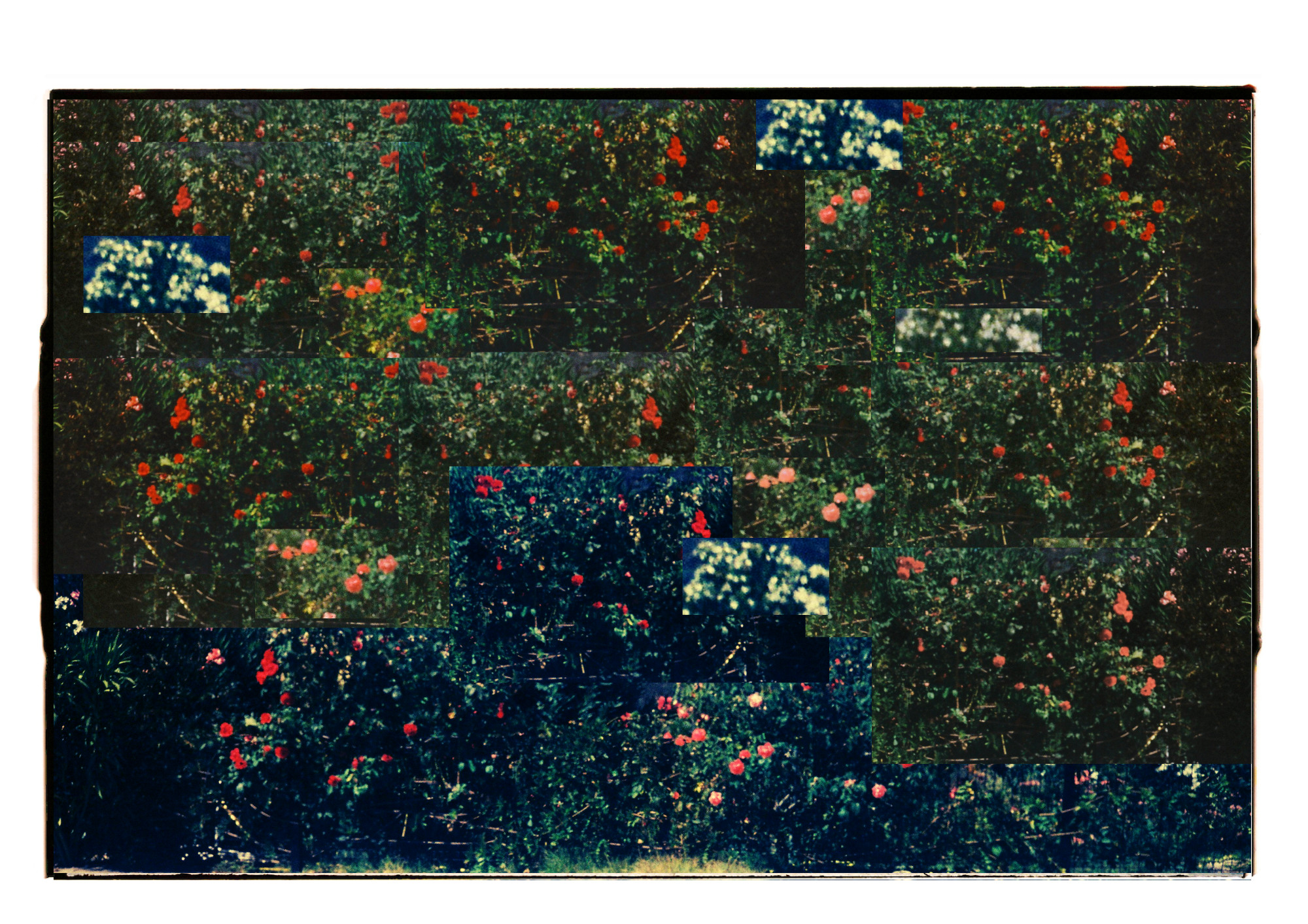 Lamela #1 detail image 4